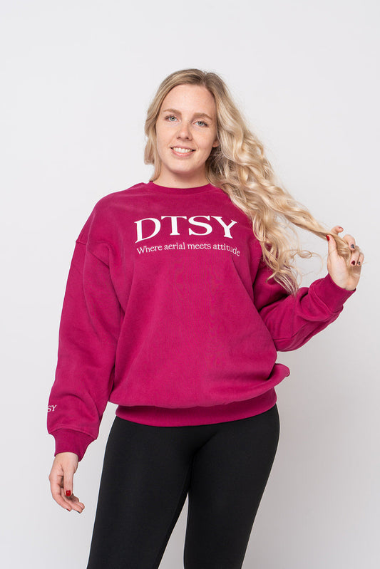 The DTSY Jumper 'Where aerial meets attitude'