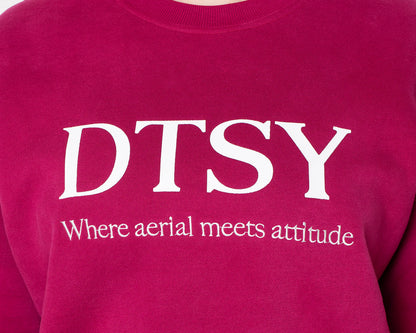 The DTSY Jumper 'Where aerial meets attitude'